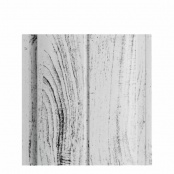 Штакетник металлический ELLIPSE, 0,5 мм, цвет Беленый дуб глянцевый, односторонний окрас, верх прямой